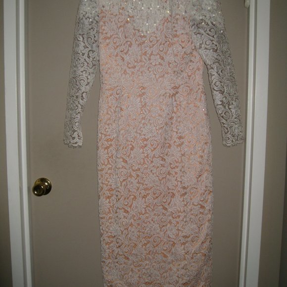 Michael Casey Ivory/Blush Alencon Lace Column Sheath Gown Long Dress Bridal Sz 6 - Picture 3 of 16